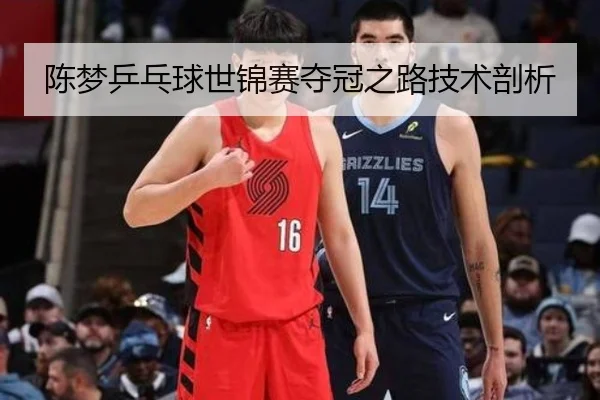 陈梦乒乓球世锦赛夺冠之路技术剖析